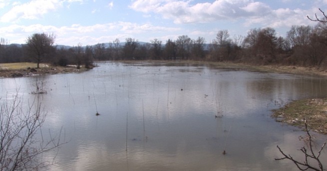 Фермери от Ямболско сигнализираха че река Тунджа е отровена Техни