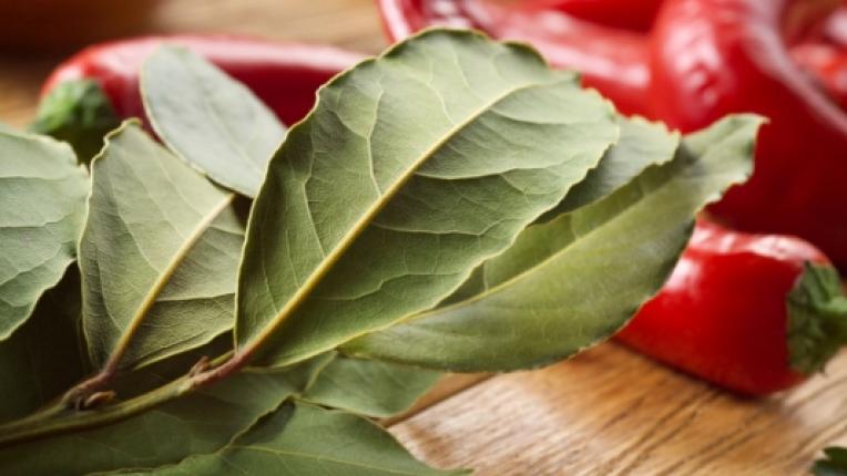  Да пречистим тялото си с дафинов лист 