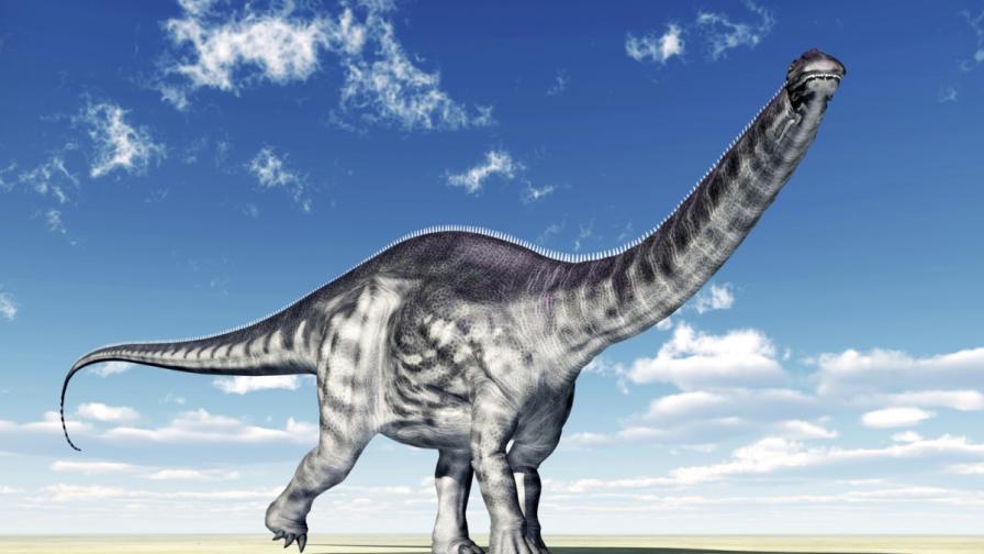 Динозаврите са щели да изчезнат и без катаклизъм