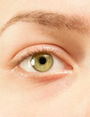 <p>Друг популярен ефект на магданоза е върху зрението. Прясно изцеденият сок помага при възпаление на роговицата и на очния нерв. Ако се приготви&nbsp; сок от магданоз и цикория, той облекчава възпалените очи.</p>