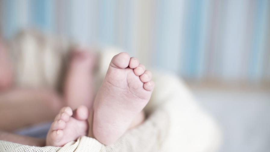 Социалните: Бебето в Пловдив е умишлено изоставено