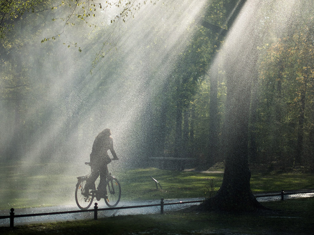 Една жена в ранните часове на 24 Април в парка Тиргартен в Берлин