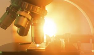 Откриха от какъв тип микробен предшественик произлизаме