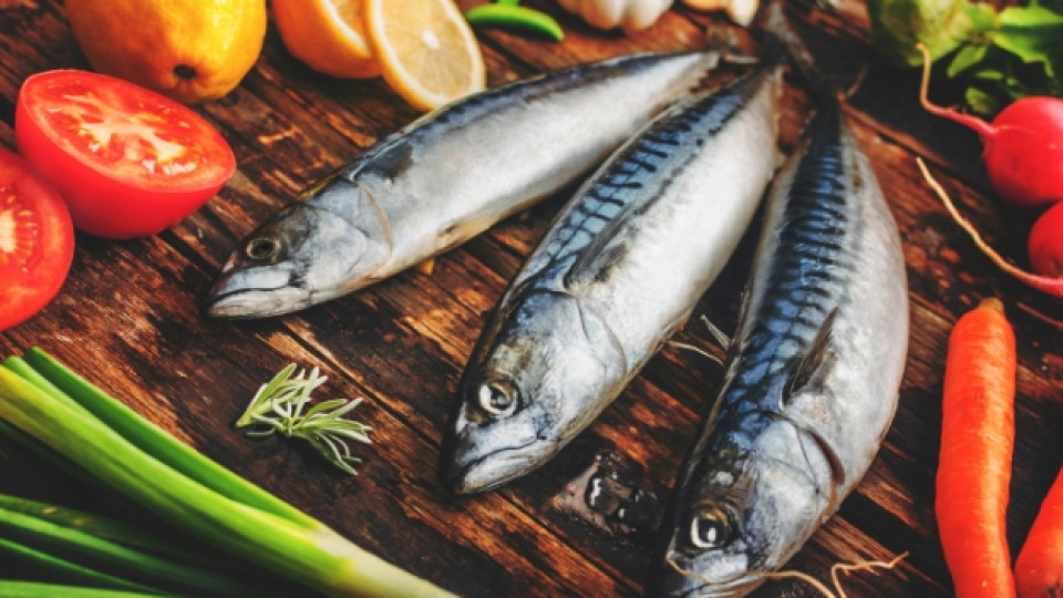 Потвърдено: Черноморската риба е без химикали и е богата на омега-3 киселини