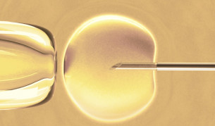 Сигнал за незаконна търговия с ембриони във Варна