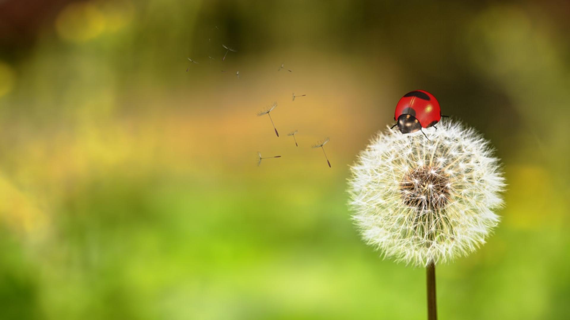 Предимно слънчево време ни очаква в сряда ☀️ Преди обяд все още