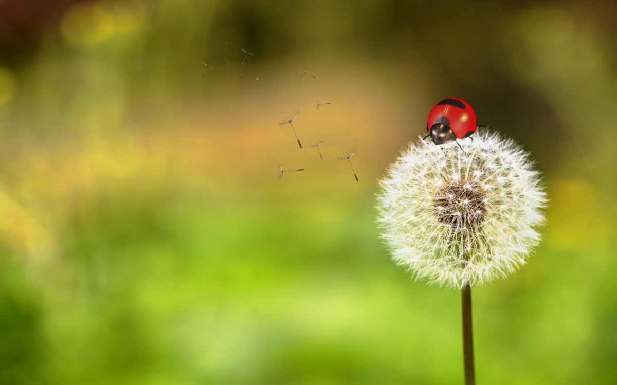 Слънчево време и до 21 градуса ни очакват в четвъртък
