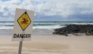 Акули нападнаха деца в известен курорт в С. Каролина