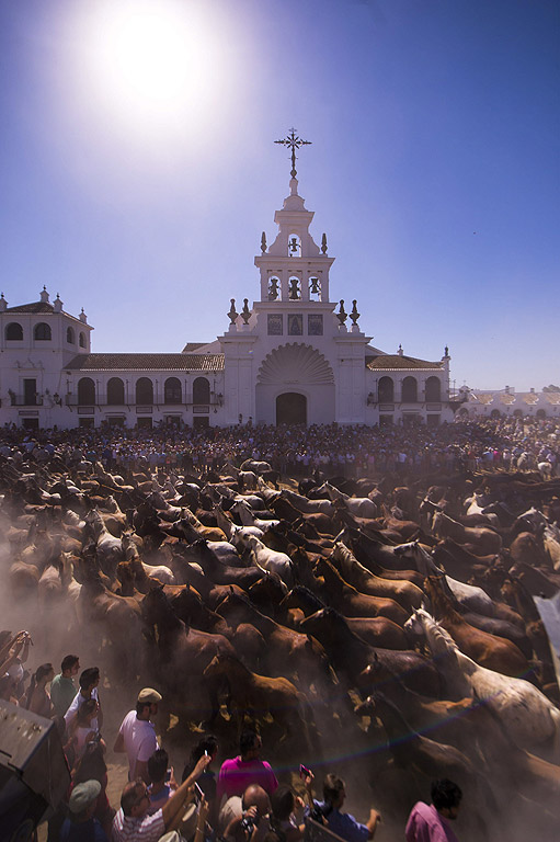 Коне в бяг по време на традиционния фестивал „Сака де йегуас“ (Извеждането на кобилите) в Уелва, Испания. Фестивалът има  511 годишна традиция