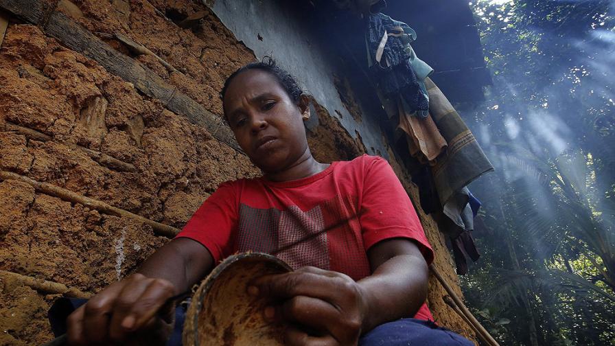 42-годишният Дингири живее на 220 км от най-големия град на Шри Ланка – Коломбо, и се препитава с умиращ занаят – производството на меласа от палмово дърво и захар.  Това всъщност е високорисков и времеемък труд –  Дингири прекосява огромни разстояния в търсене на изчезващите диви палми, а после се катери по хлъзгавите им стебла, за да извлече сока им.