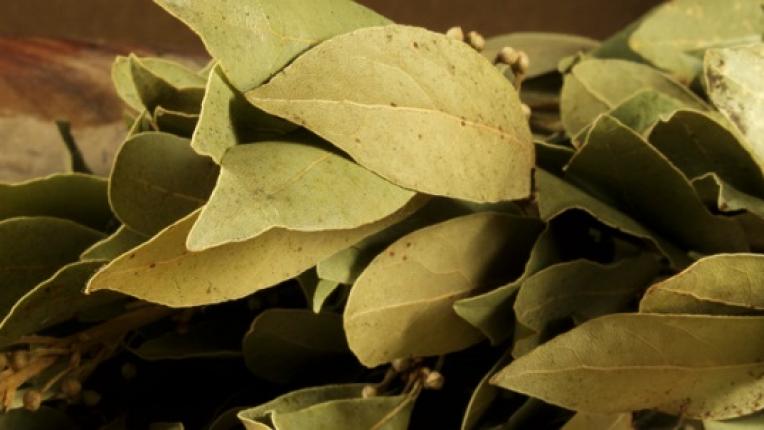  Да пречистим тялото си с дафинов лист 