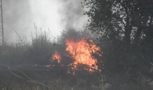 Пожарът край Благоевград