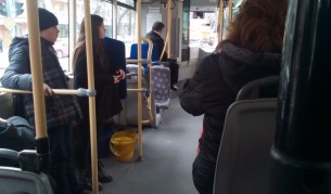 Запор на заплатата за гратисчиите в София