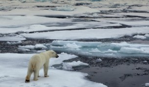 Глобалното затопляне променя САЩ неузнаваемо