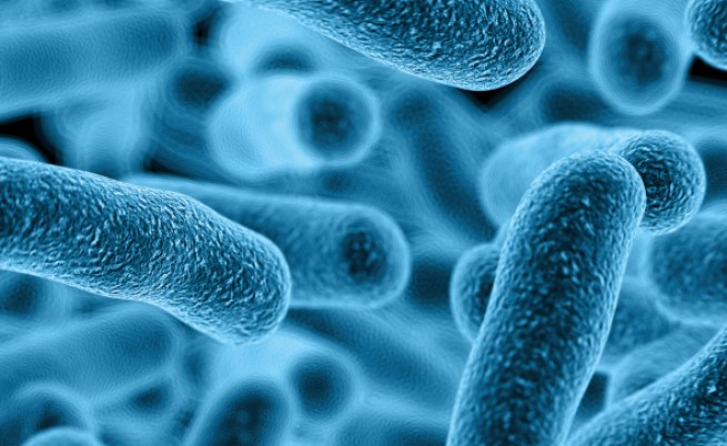Слабо известна полова инфекция може да стане супер-бактерия