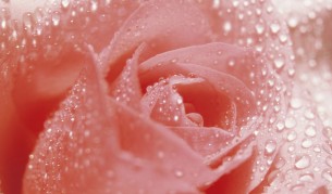 5 храни за най-интимното място на жената