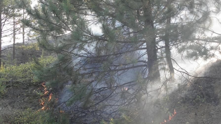 Евакуират две села в Свиленградско заради пожар