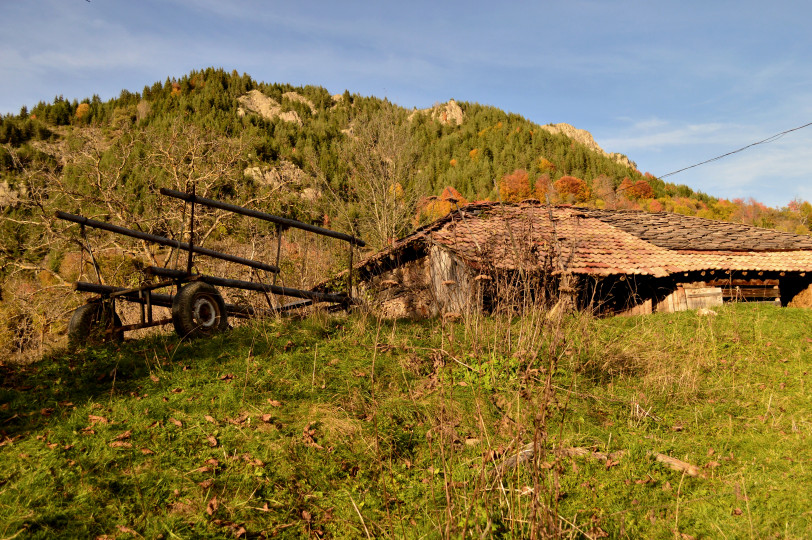 Село Киселчово