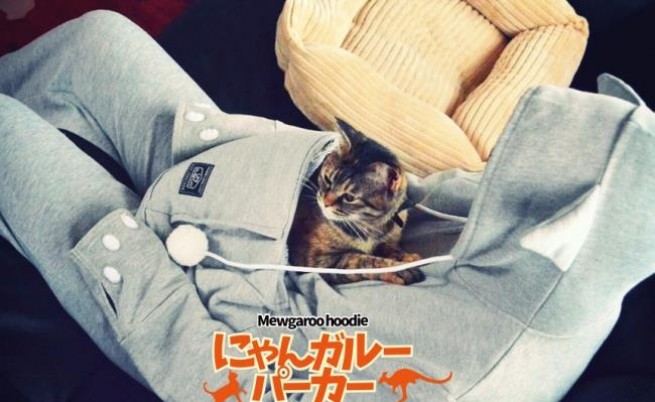 Дреха с джоб за котки - новият хит в Япония
