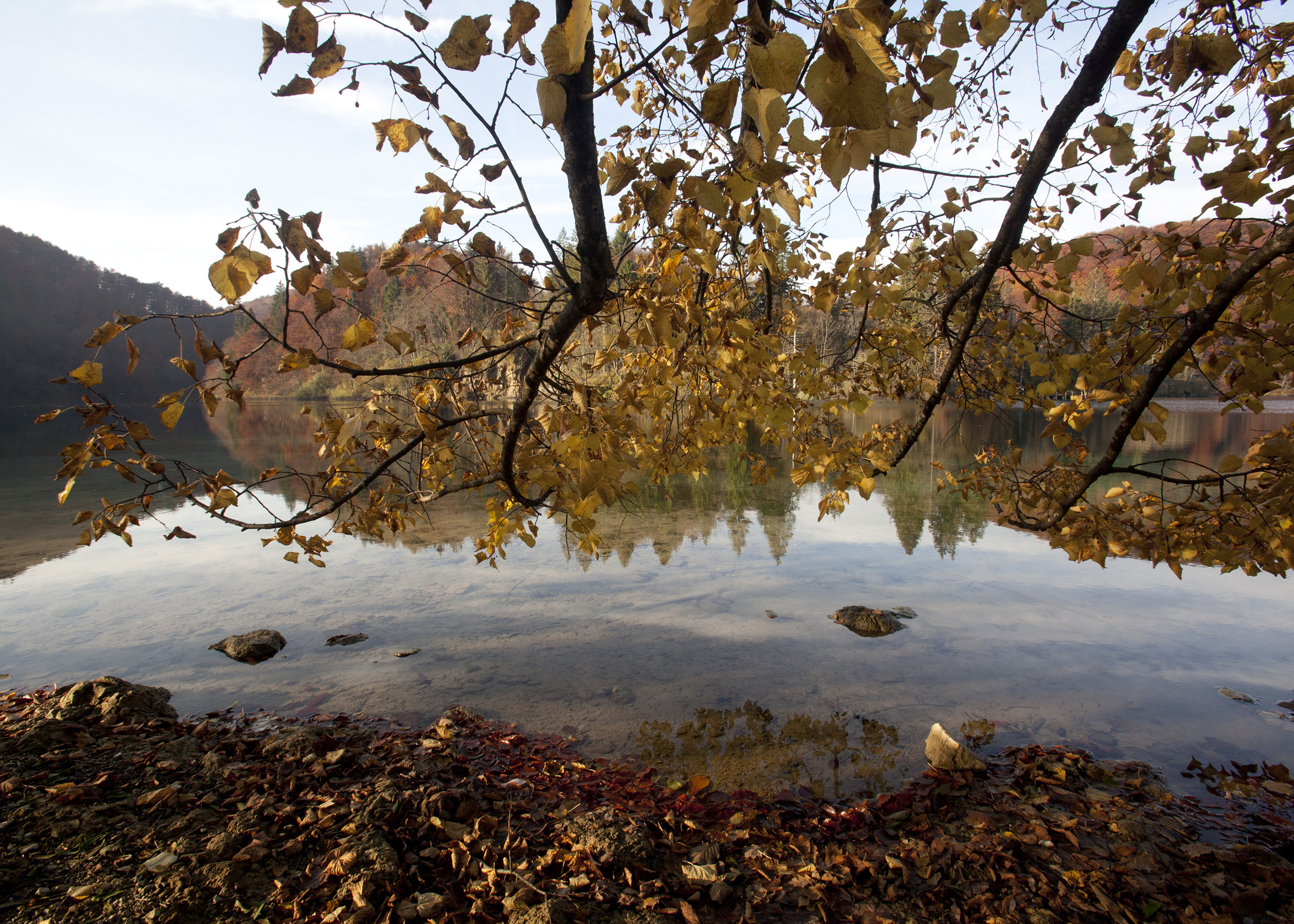Viasat Nature представя "Водните съкровища на Хърватия" в нейните най-красиви защитени територии, национални паркове и природни резервати. Първият епизод от поредицата, който ще се излъчи на 30-ти ноември от 18:20 часа, показва как различни животински и растителни видове оцеляват през всички сезони в гората на Плитвице – запазената естествена местност около езерата, която е и регулатор на климатичните условия.