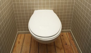 Разработват тоалетна, която няма нужда от вода