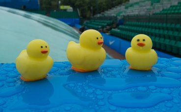 ВИДЕО: В Германия смениха Бундеслигата с гумени патета