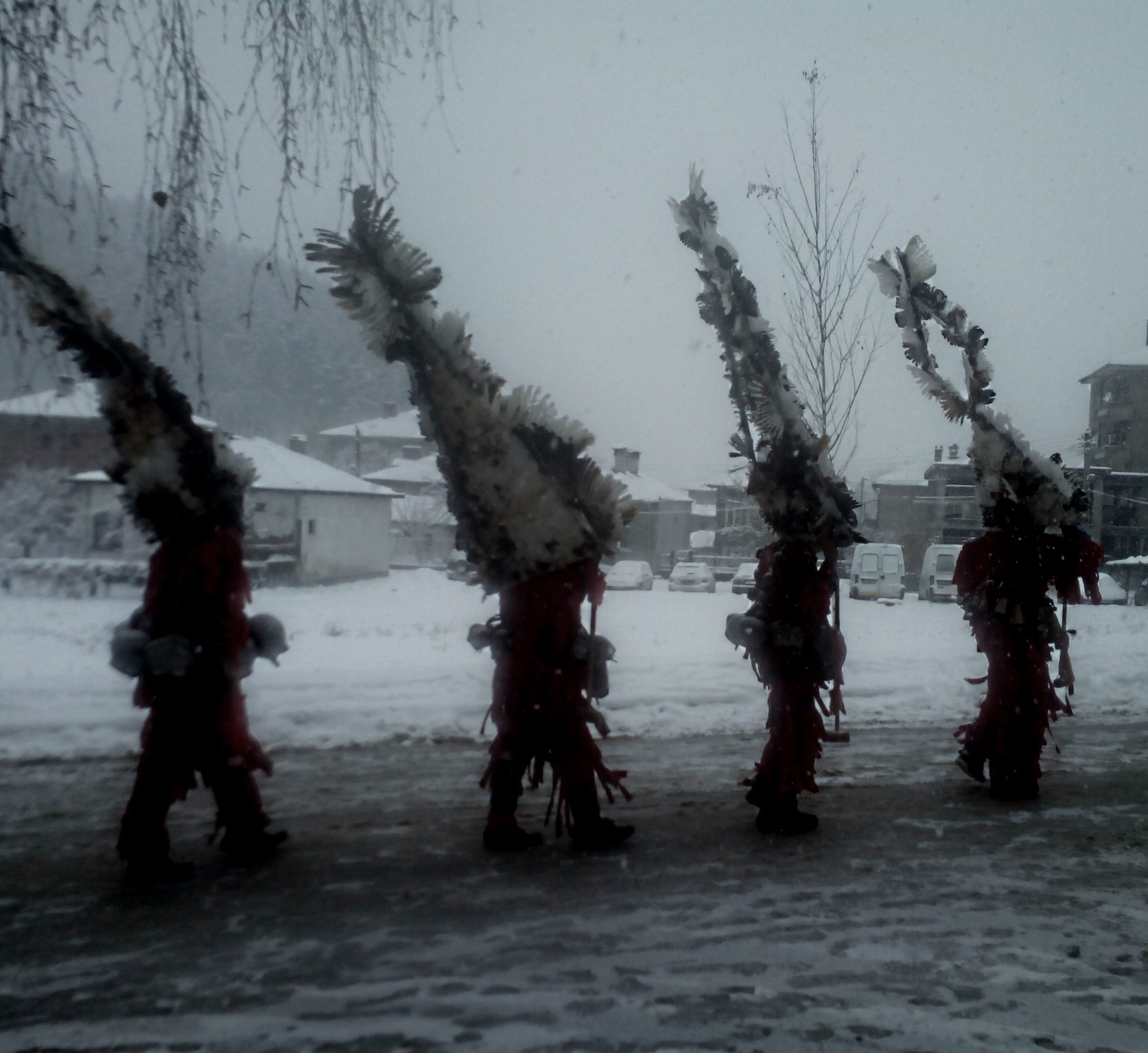 Брезник, 16 януари 2016 г.