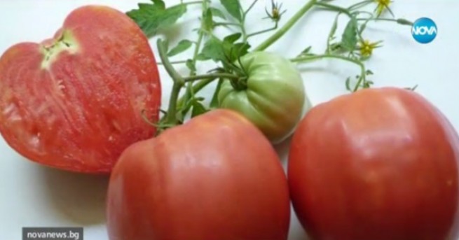 В сезона на плодовете и зеленчуците – български или вносни
