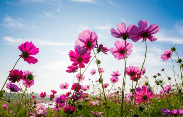 Дневен хороскоп за четвъртък, 25 януари - снимка 7