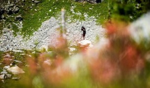 100 секунди без музика и забавени кадри