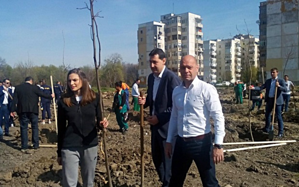 Габи Петрова посади дървета в Пловдив