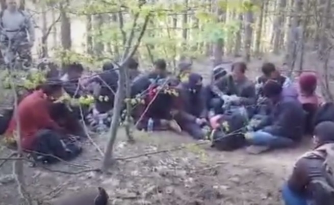 Граждански арест в гората - вижте новите ловци на мигранти
