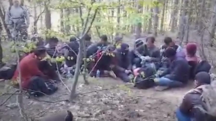 Граждански арест на бежанци в гората край браздата