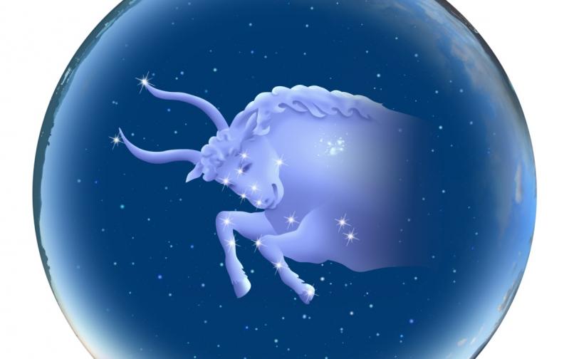  зодия телец 