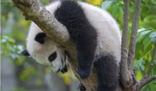 Учени: Страдаме от глобална криза на съня