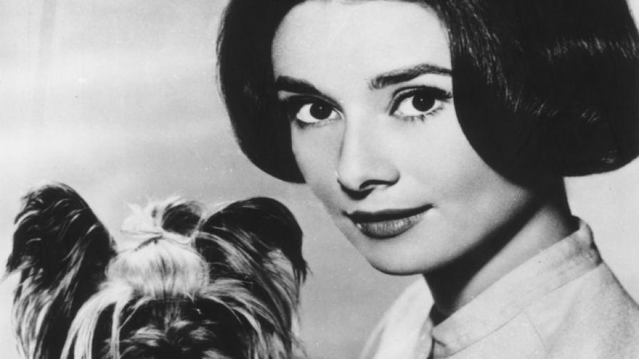 Одри Хепбърн