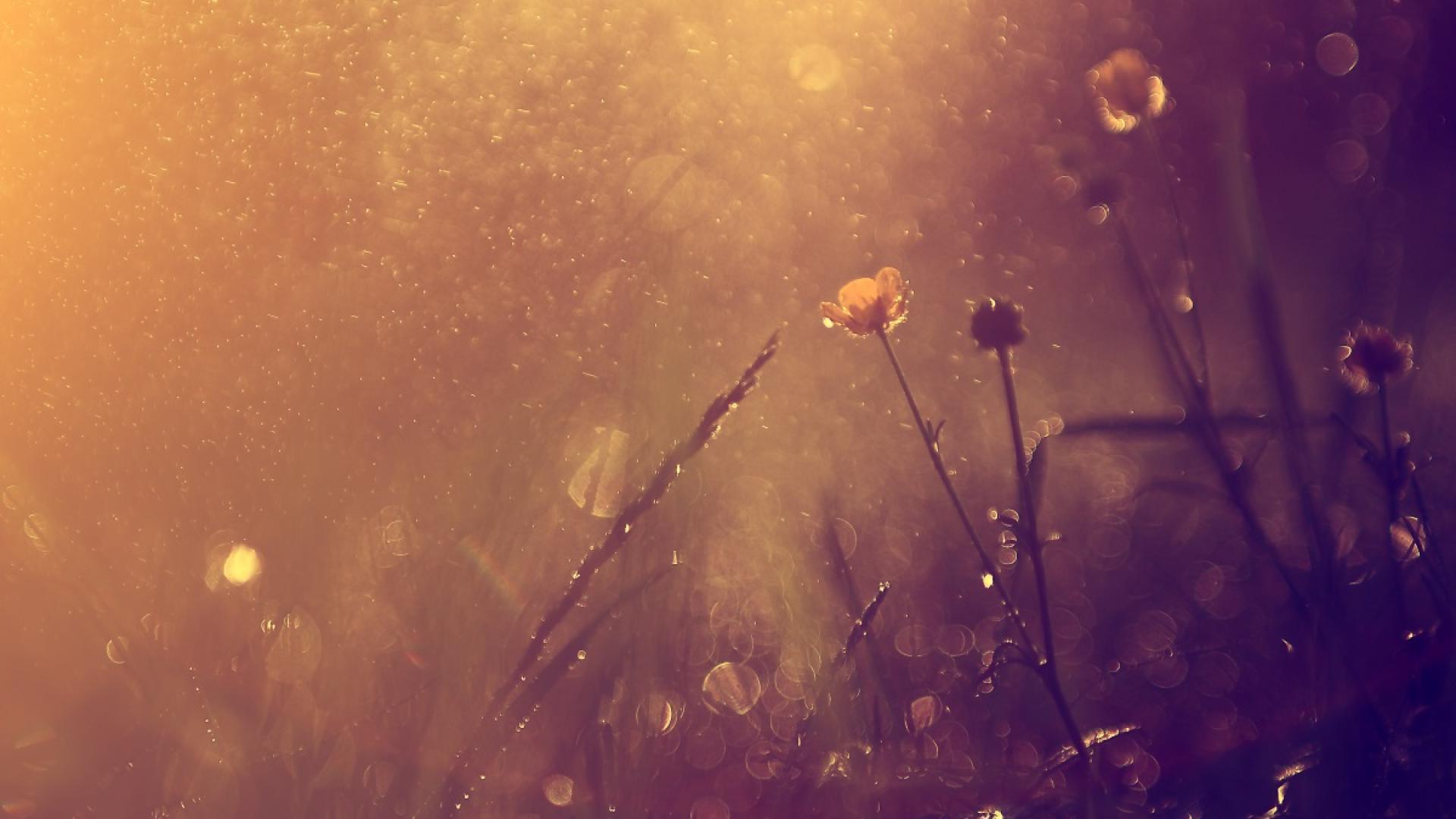 Предупреждение от първа степен – жълт код за много високи