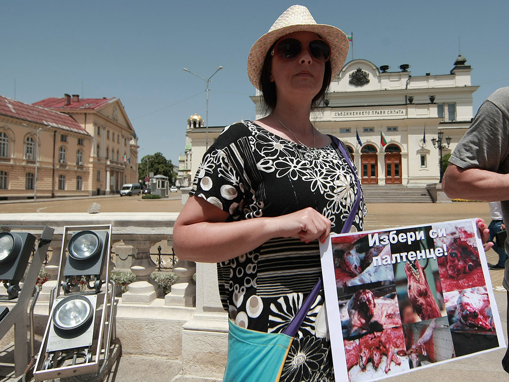 Протестиращите искат промяна в законодателството и "да се приравни убийството на всяко едно животно с убийството на хора. Искаме животът на животните да се третира по същия начин, както животът на хората"