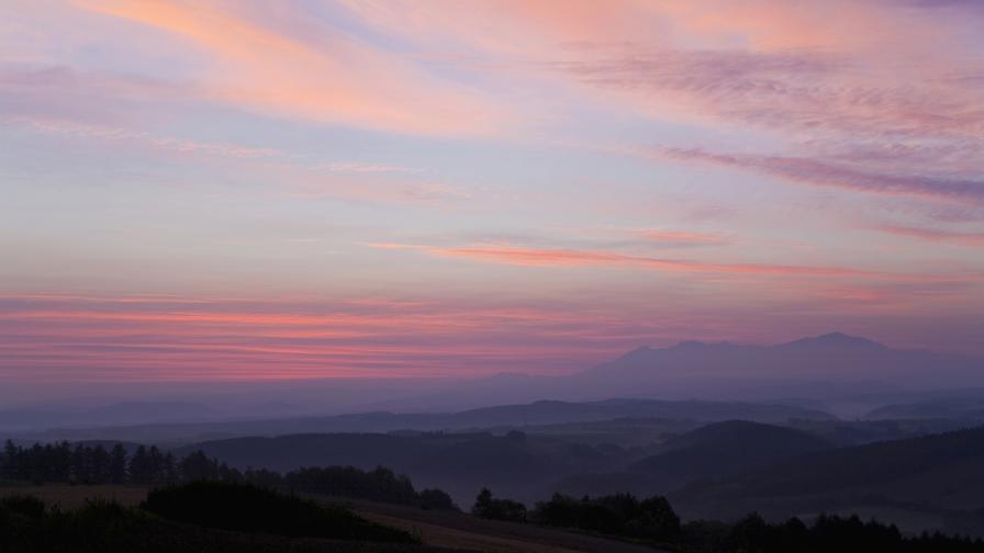 Снимката е илюстративна