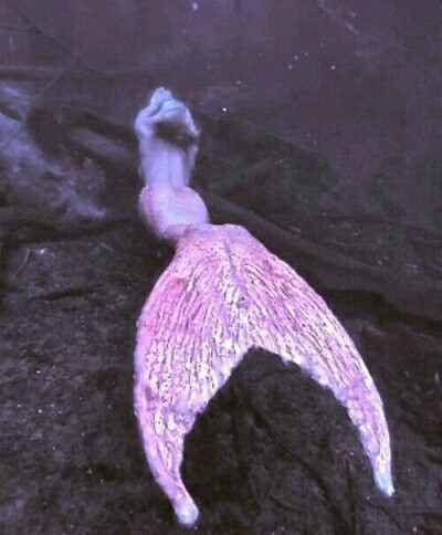 Дневен хороскоп за 26.07. - снимка 9