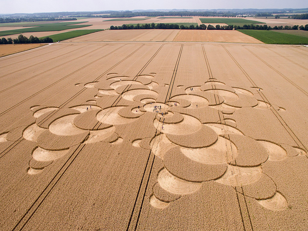 Хора инспектират фигура на поле пшеница близо до Mammendorf, Германия. Фигурата в пшеницата е с диаметър от 180 метра.