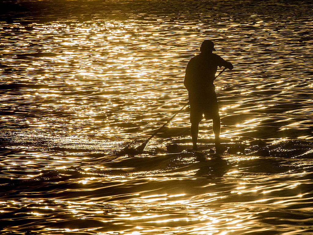 Човек гребе на борд в река във Франкфурт на Майн, Германия