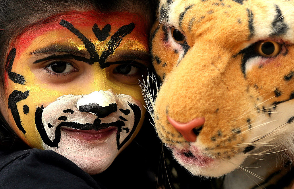 Момиче е боядисало лицето си като тигър и държи тигър кукла, за да участва в кампанията "Спасете нашите Тигри" за предстоящия на 29 юли международен ден на Тигъра, в Бангалор, Индия