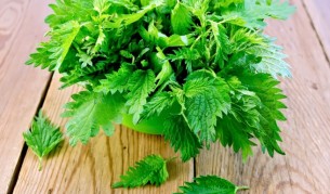 Зелените листенца, които парят, но имат лечебна сила