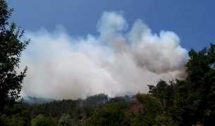 Продължава да гори пожарът в Ардино