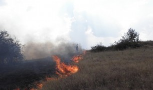 200 дка гора гори в община Харманли