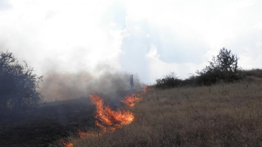 Пожарът в Хасковско заради печене на патладжани