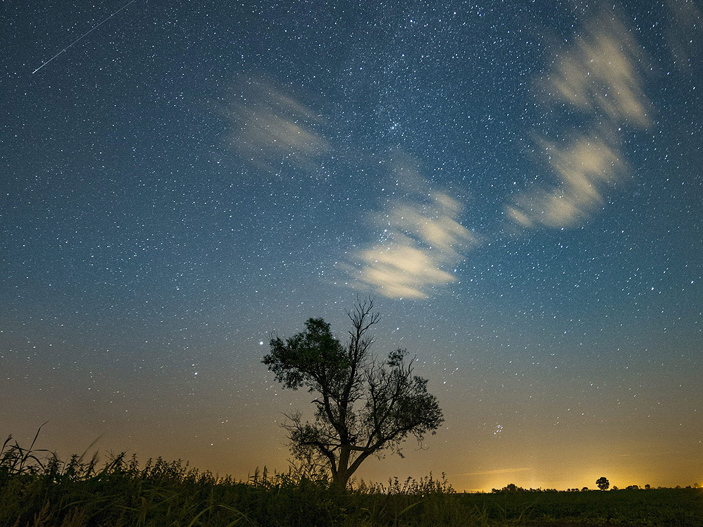Падаща звезда се вижда на нощното небе по време метеоритен дъжд в Янково, близо до Познан. През първата половина на август е традиционно най-доброто време, за да се видят падащи метеори