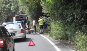 Известни еколози блъснати, докато броят прегазени животни