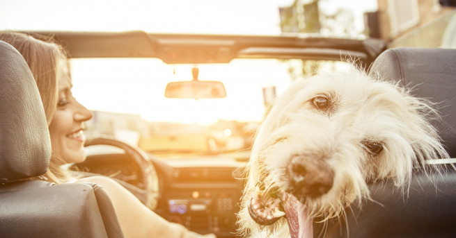 Август ще е доста по спокоен Тенденцията на промени във